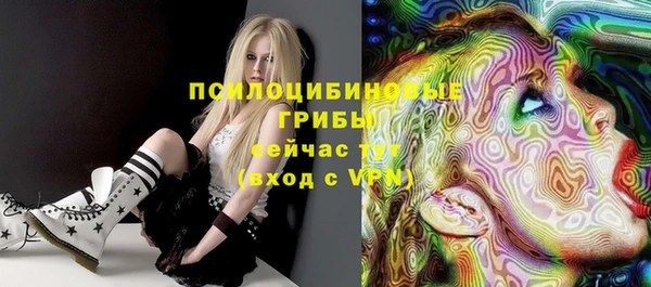 тгк Семёнов