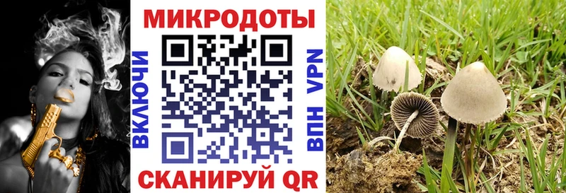 ОМГ ОМГ как войти Муром Псилоцибиновые грибы мухоморы