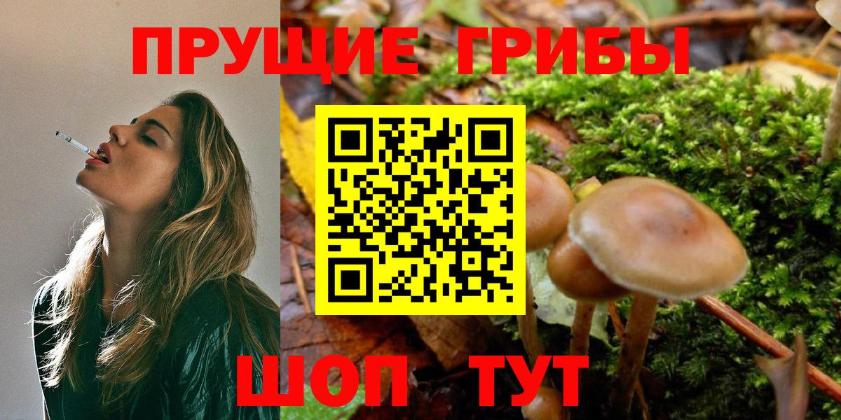 Псилоцибиновые грибы ЛСД  Вход с VPN  Муром 